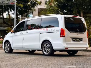 Xe Mercedes Benz V250 Luxury 2021