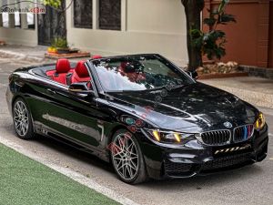 Xe BMW 428i Convertible 2014